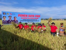 Semangat Menyambut HBP Ke-58, Lapas Banda Aceh Sukses Panen Raya Padi Perdana