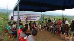 Dukung Ekonomi Berbasis Kerakyatan, Bank Aceh Fokus Sektor Pertanian