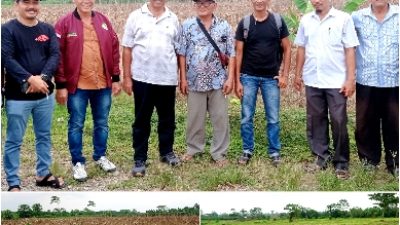 PeTeBu Jajaki Lahan Pertanian Tebu 250 Hektar di Kecamatan Tenggulun