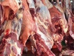 Pegawai Pemko Sabang Akan Bahagia TPP Segera Dibayar Dalam Waktu Dekat