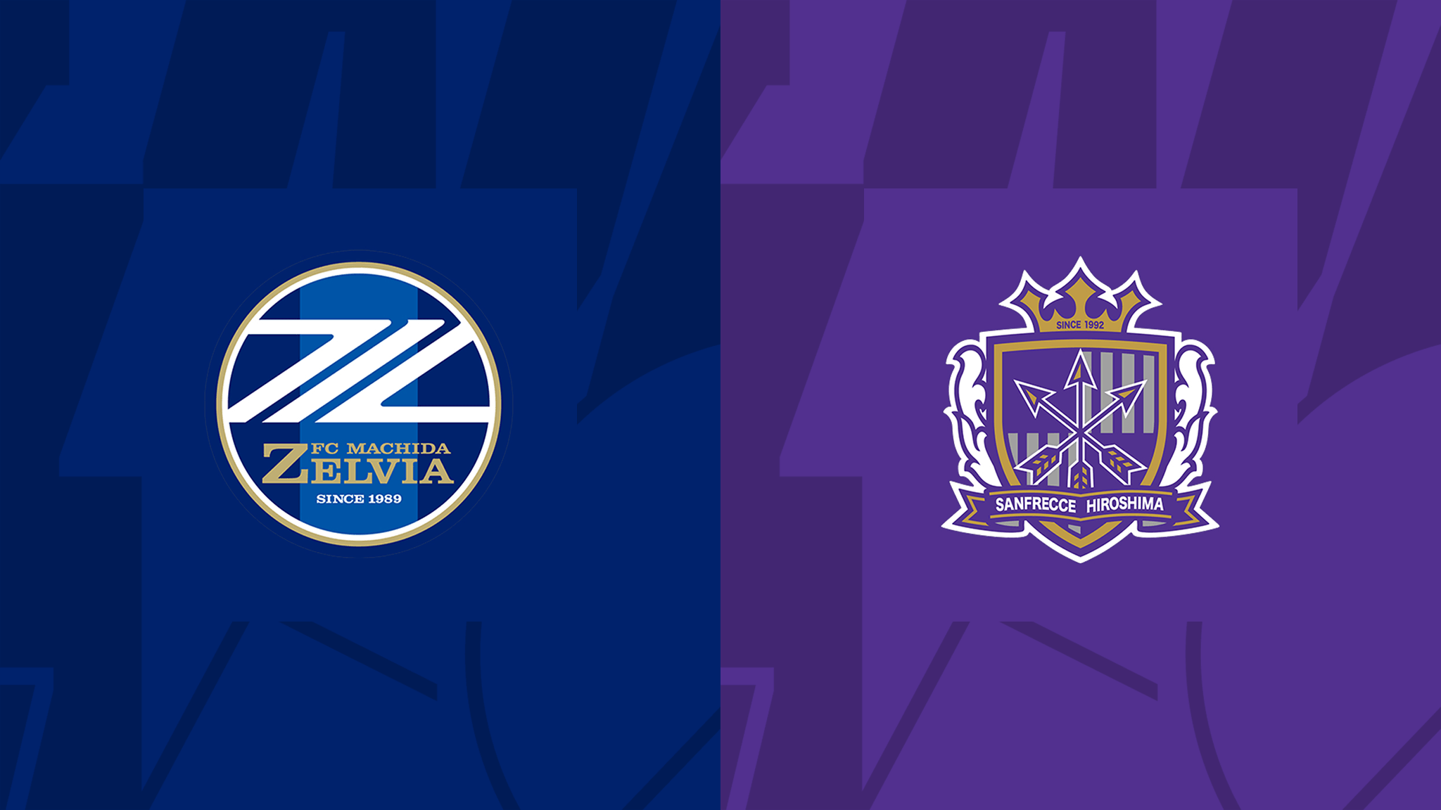 Machida Zelvia vs Hiroshima