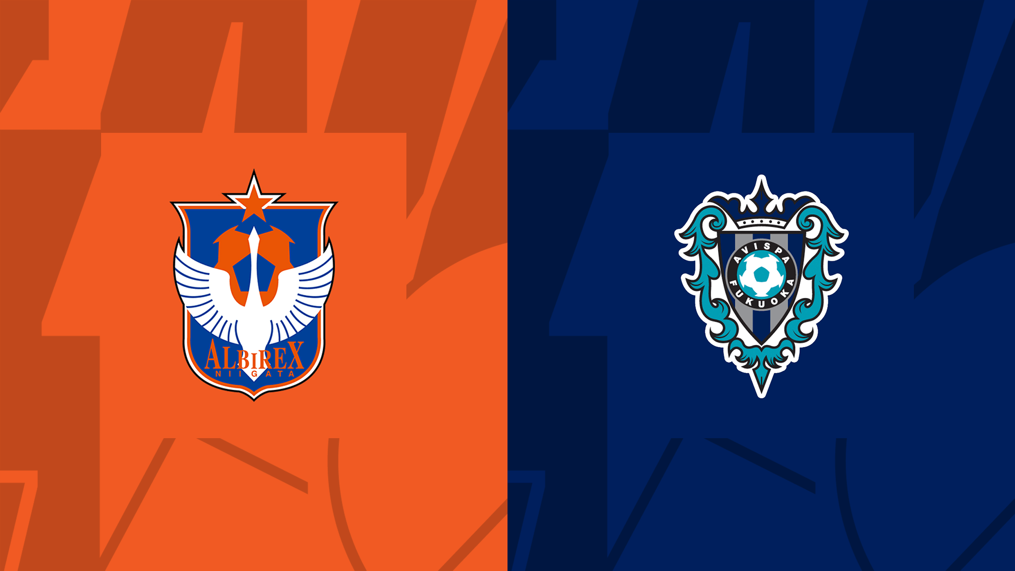 Albirex Niigata vs Avispa Fukuoka