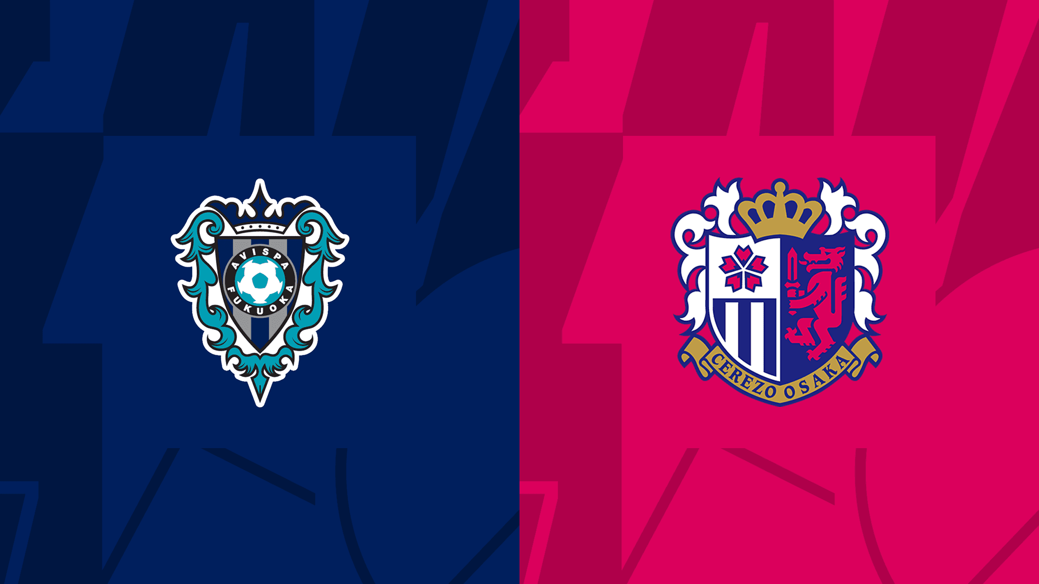 Avispa Fukuoka vs Cerezo Osaka