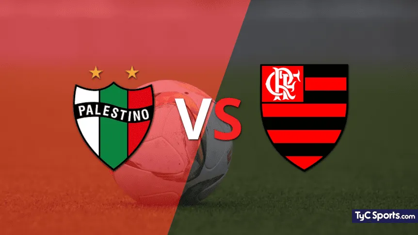 Palestino vs Flamengo