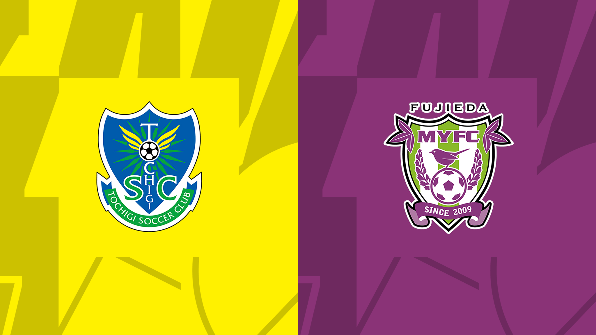 Tochigi vs Fujieda