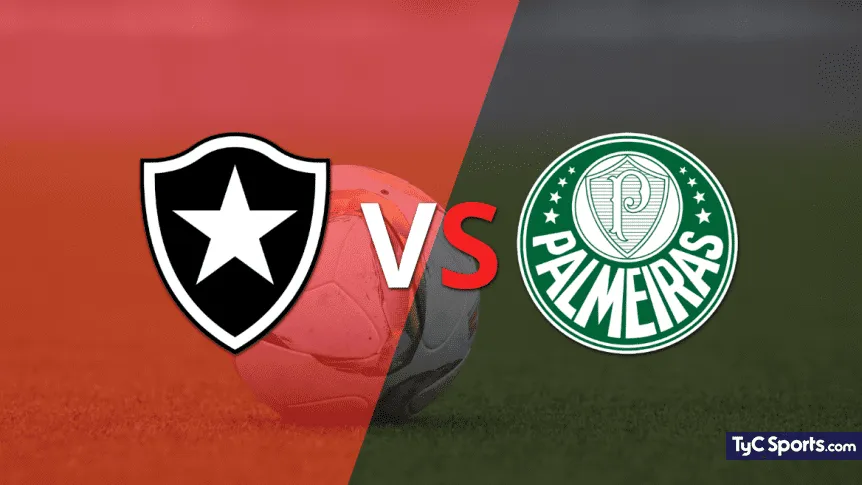 Botafogo vs Palmeiras
