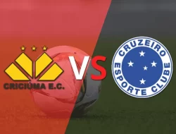 Prediksi Criciuma vs Cruzeiro, Brazil Serie A 4 Juli 2024
