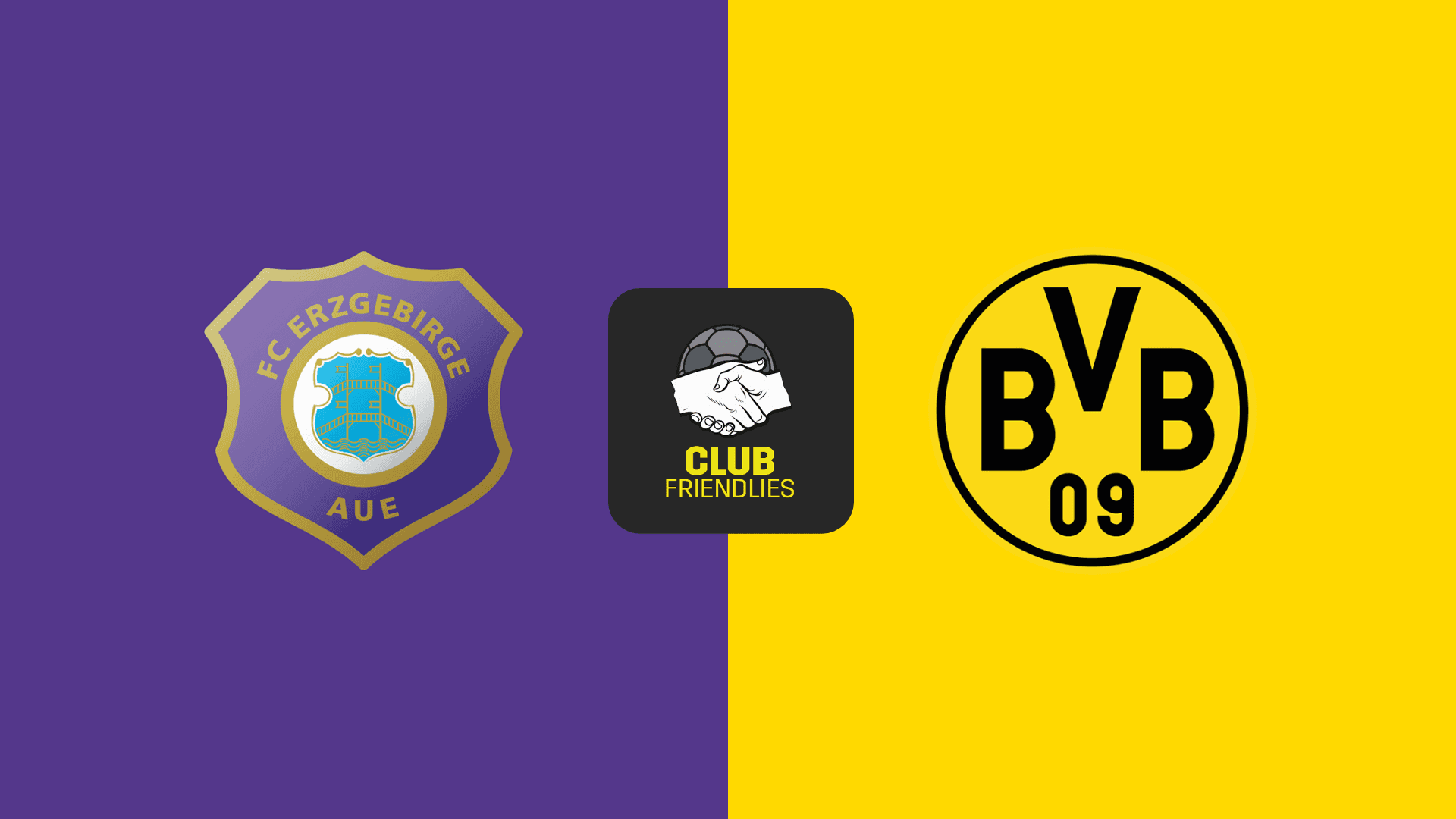 Erzgebirge Aue vs Dortmund