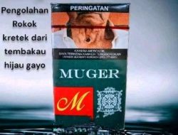 UD Keretek Gayo Aceh – Indonesia Sajikan Rokok dengan Cita Rasa Khas Gayo