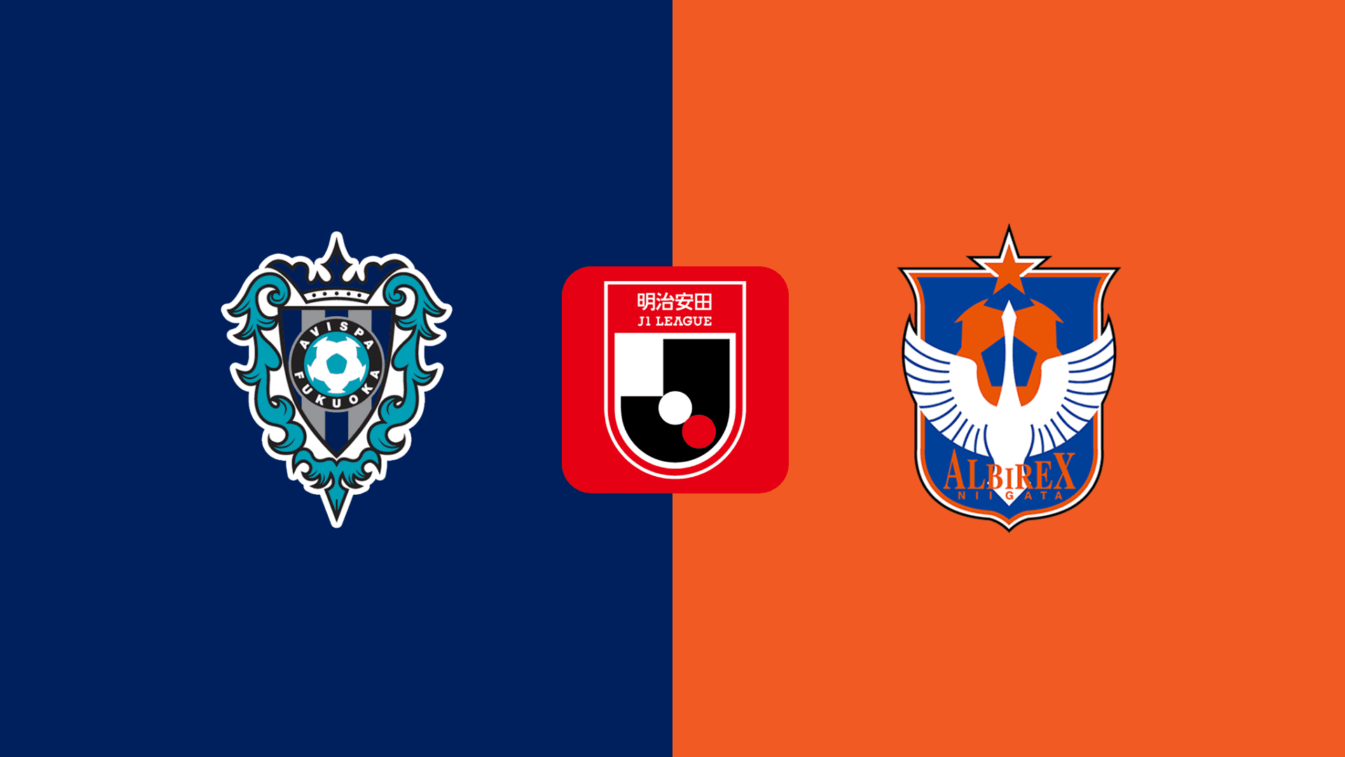 Avispa Fukuoka vs Niigata