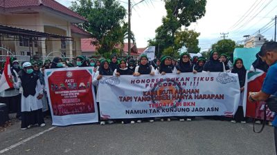 Gelombang Demo Menghadang DPRK Aceh Selatan, Tuntut Status PPPK 
