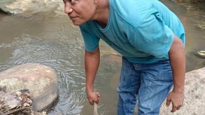 Warga Desa Suka Tani Keluhkan Limbah PT Blangkutumba, Lalat dan Bau Ganggu Aktivitas 