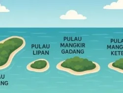 Sengketa Empat Pulau di Aceh Jadi Isu Nasional, Pemerintah Pusat Dinilai Abaikan Aspirasi Rakyat