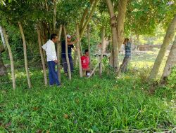 Sambut Idul Adha, Warga Tanjung Selamat Gelar Gotong Royong Massal