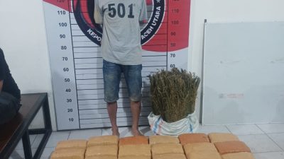 Satresnarkoba Polres Aceh Utara Sita 72 Bal dan 1 Karung Ganja di Sawang 