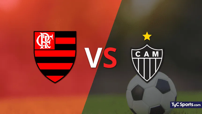 Flamengo vs Mineiro
