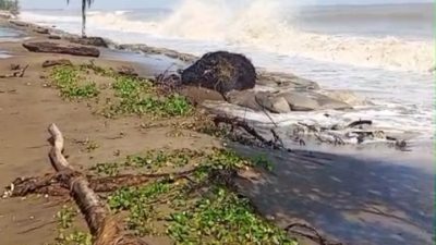 Bupati Aceh Utara, Ayah Wa Laporkan Abrasi Gampong Lhok Pu’uek ke Kemensos RI