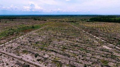 Terendus Bau Busuk Kabar Alur Cina dan Durhaka di Bendahara