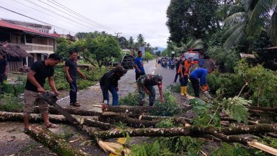 Personil TNI/Polri Bersihkan Potongan Pohon di Jalan Nasional, Cepat Tuntas Karena  Kerjasama 