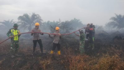 ‎Kebakaran di Aceh Selatan Meluas, Petugas  Kewalahan Padamkan Api