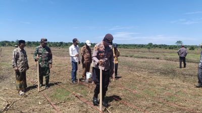 Gampong Pasie Lembang Kluet Selatan Kembangkan Komoditi Jagung 