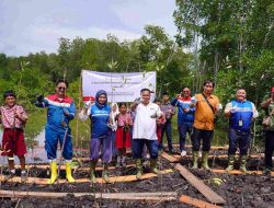 Menebus Kerusakan Mangrove