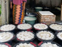 UMKM di Bireuen Semakin Bergeliat, Omzet Melesat Berkat Program MBG