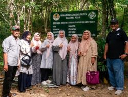 Dari Hutan ke Pasar Internasional, Kisah Sukses Peternak Madu Linot di Aceh Besar