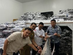 BGN Aceh Gandeng DKP Pidie Jaya Perkuat Pasokan Hasil Laut untuk Program SPPG
