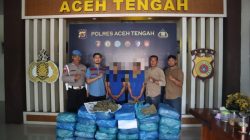 Satresnarkoba Polres Aceh Tengah Gagalkan Pengedaran 62 Kg Ganja, Dua Pelaku diamankan