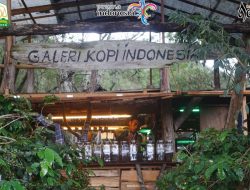 Galeri Kopi Indonesia: Menyelami Rasa, Menelusuri Cerita dari Biji ke Cangkir