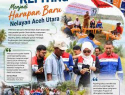 Saat Mangrove dan Kepiting Menjadi Harapan Baru Nelayan Aceh Utara