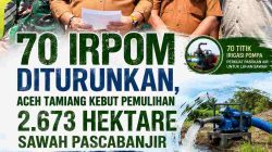 70 Irpom Diturunkan, Aceh Tamiang Kebut Pemulihan 2.673 Hektare Sawah Pascabanjir