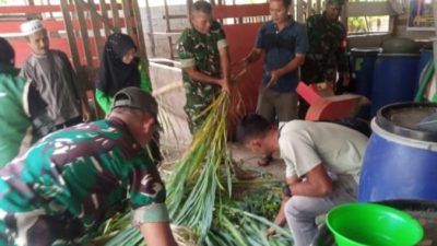 TNI AD Gandeng PPL dan Petani Kembangkan Pakan Ternak Organik di Aceh Selatan