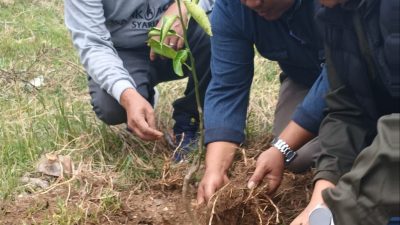 Sekda Aceh Tengah Apresiasi Gerakan Penghijauan Alumni SMAN 3 Pegasing di Kawasan Danau Laut Tawar