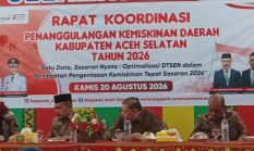 Satu Data, Sasaran Nyata