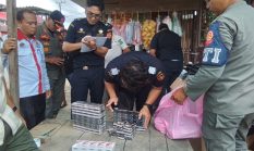 Bea Cukai Temukan 1.384 Bungkus Rokok Ilegal