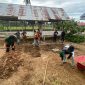 Mahasiswa KKN Kelompok 24 Unimal melakukan penanaman tanaman.