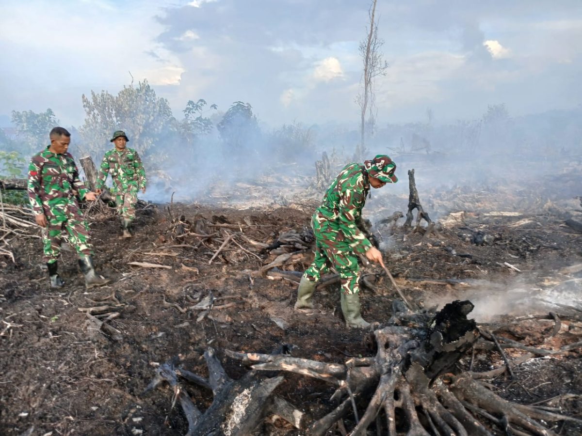 Saat anggota TNI memadamkan api hutan terbakar. 