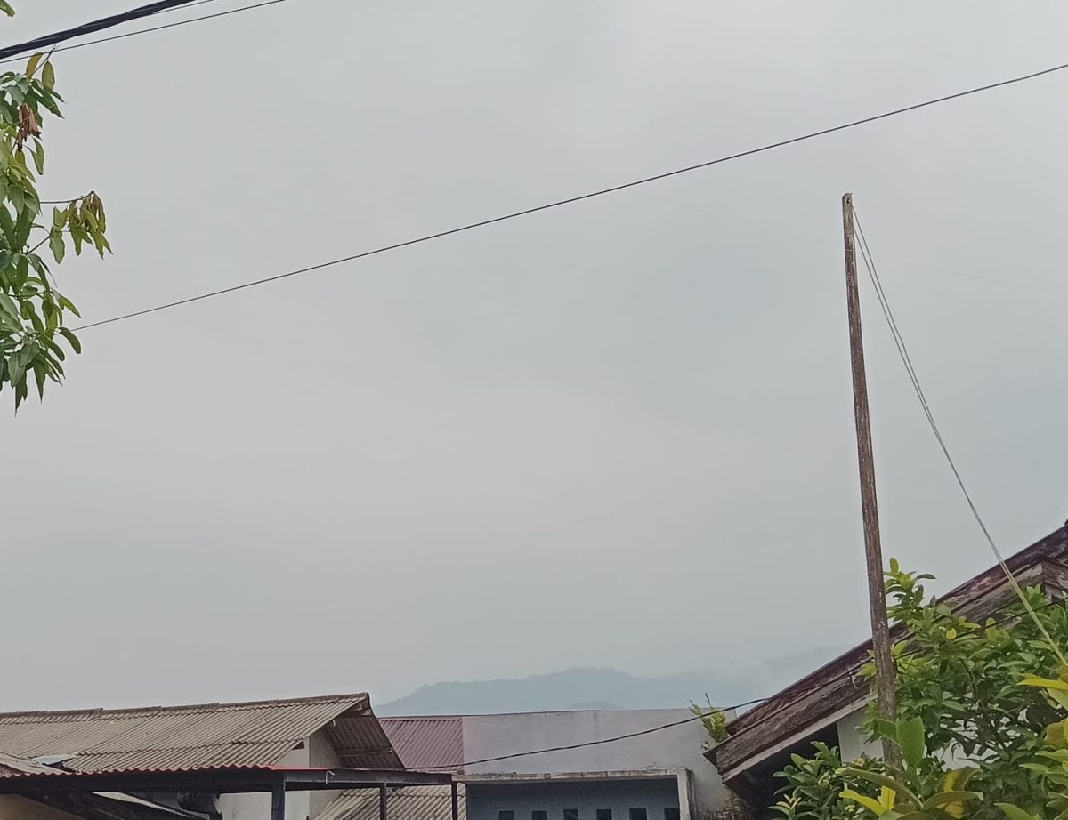 Puncak Gunung Lubuk Layu Samadua yang biasanya tampak menghijau dari kejauhan sekitar 3-4 Km, mini terlihat diliputi kabut asap.(Foto/mediaaceh.co.id/istimewa).
